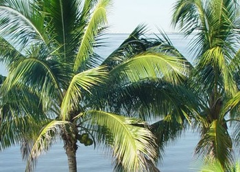 Fort Myers - Fl