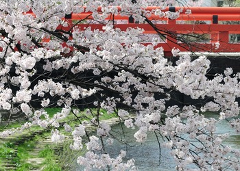 Takayama