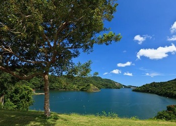 Ponce