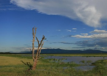 Parque Nacional Lago Manyara