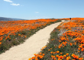 Lancaster - Ca