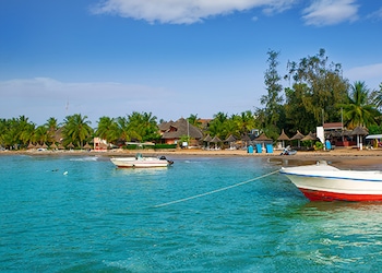 Saly