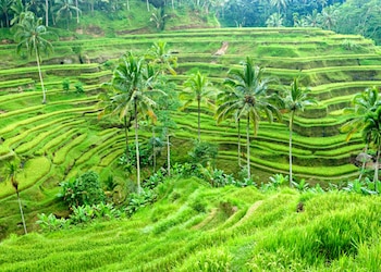 Ubud