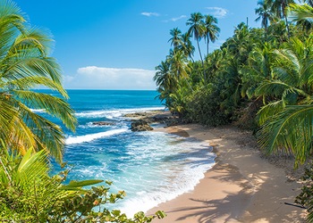 Puerto Viejo De Talamanca