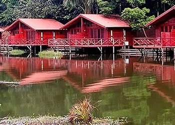 Manaus