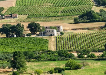 Castrovillari