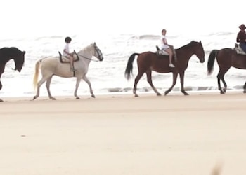 Parque Nacional de Doñana