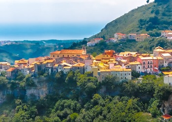 Tortora