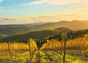 Radda in Chianti