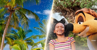 Walt Disney World Orlando y Punta Cana Walt Disney World Orlando y Punta Cana