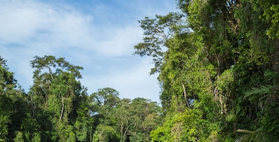 Tortuguero, Arenal y Manuel Antonio Tortuguero, Arenal y Manuel Antonio