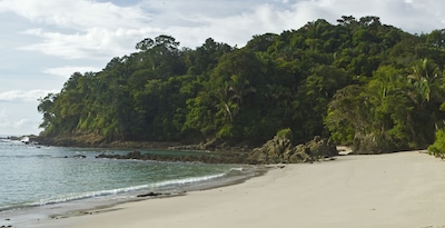 Tortuguero, Arenal, Monteverde y Manuel Antonio Tortuguero, Arenal, Monteverde y Manuel Antonio