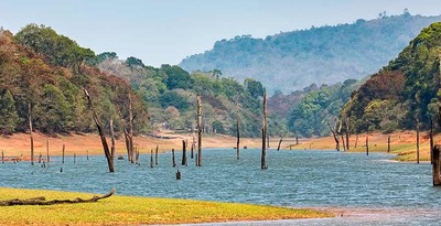 Sur de India con Lago Periyar Sur de India con Lago Periyar