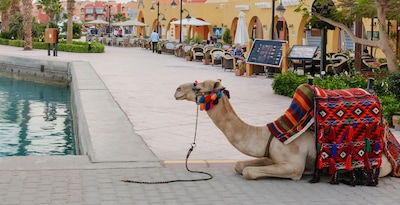 El Cairo, Crucero 4 noches y Hurghada El Cairo, Crucero 4 noches y Hurghada