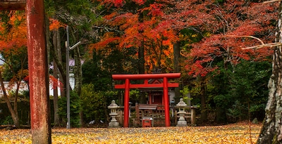 Tokio, Hiroshima, Mt. Koya, Kioto y Alpes Japoneses Tokio, Hiroshima, Mt. Koya, Kioto y Alpes Japoneses