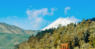 Japón y Bali Japón y Bali