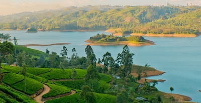 De Colombo a Sigiriya con Yala, Nuwara Eliya y Maldivas De Colombo a Sigiriya con Yala, Nuwara Eliya y Maldivas