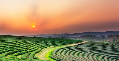 Bangkok, Chiang Rai, Chiang Mai y Maldivas Bangkok, Chiang Rai, Chiang Mai y Maldivas