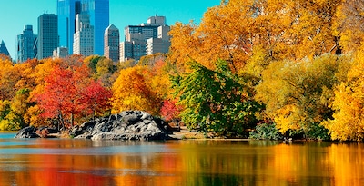 Nueva York, Cataratas del Niágara, Toronto, Nueva Jersey y Washington Nueva York, Cataratas del Niágara, Toronto, Nueva Jersey y Washington