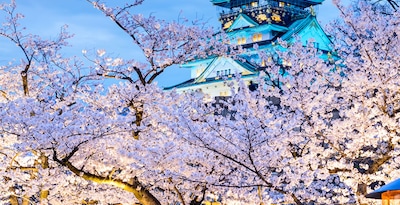 De Tokio a Kioto e Hiroshima De Tokio a Kioto e Hiroshima
