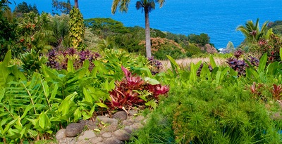 Nueva York, Honolulu (O'ahu) y Los Ángeles Nueva York, Honolulu (O'ahu) y Los Ángeles