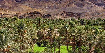 Marrakech y Desierto de Zagora en riads Marrakech y Desierto de Zagora en riads