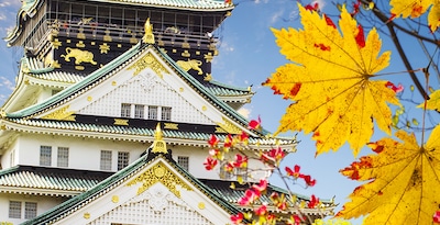 De Tokio a Osaka y Phuket De Tokio a Osaka y Phuket