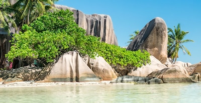 Dubái y Seychelles Dubái y Seychelles