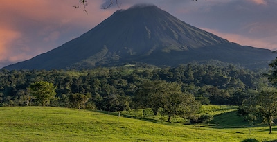 San José, Tortuguero, Arenal, Monteverde y Manuel Antonio San José, Tortuguero, Arenal, Monteverde y Manuel Antonio