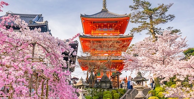 Tokio, Kioto, Osaka y Tokio Tokio, Kioto, Osaka y Tokio