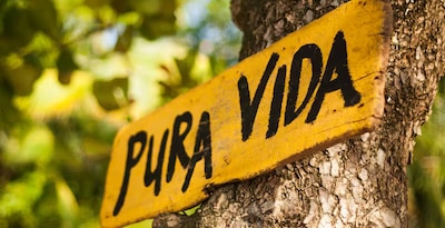 Ruta de Pura Vida Ruta de Pura Vida