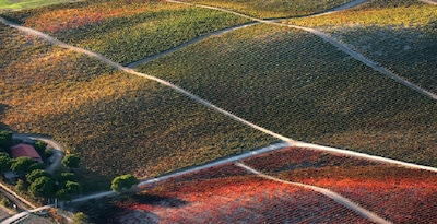 La Ruta del Vino de Castilla y León La Ruta del Vino de Castilla y León