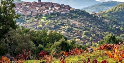 Ruta del Vino de la Sierra de Francia y Ciudades Patrimonio Mundial Ruta del Vino de la Sierra de Francia y Ciudades Patrimonio Mundial