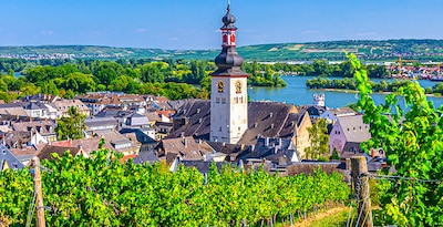 Ruta por la Región del Rhin Ruta por la Región del Rhin