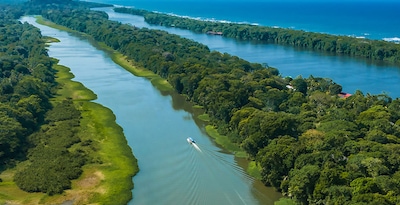 De San José a Manuel Antonio con Parque Nacional Tortuguero en coche de alquiler De San José a Manuel Antonio con Parque Nacional Tortuguero en coche de alquiler