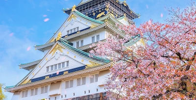 Osaka, Kioto, Tokio, Phuket y Phi Phi Osaka, Kioto, Tokio, Phuket y Phi Phi
