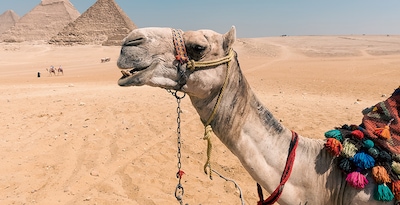 El Cairo, Crucero 3 noches y Hurghada El Cairo, Crucero 3 noches y Hurghada