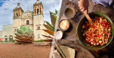 Oaxaca gastronómico y cata de mezcal Oaxaca gastronómico y cata de mezcal