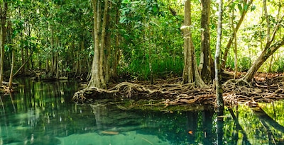 Bangkok, Chiang Rai, Chiang Mai y Krabi Bangkok, Chiang Rai, Chiang Mai y Krabi