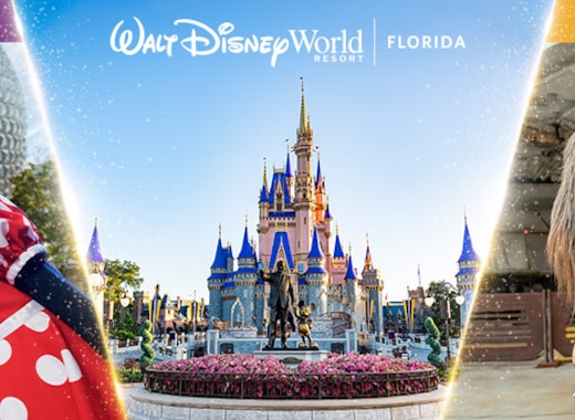Walt Disney World Walt Disney World