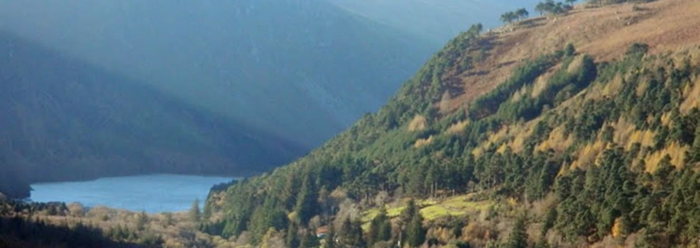 Wicklow
