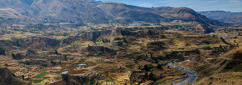 Colca