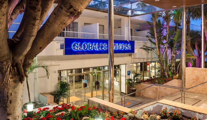 Gallery - Globales Mimosa