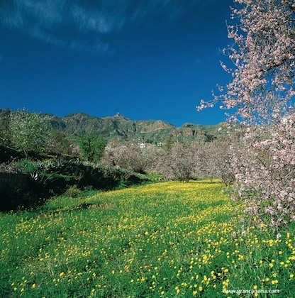 Gallery - Hotel Rural Cortijo San Ignacio Golf