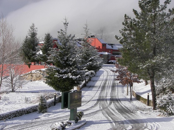 Gallery - Lam Hotel Serra Da Estrela