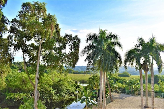 Gallery - Tropical Casa Laguna
