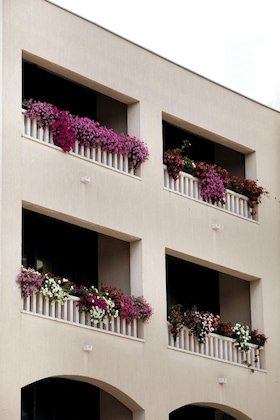 Gallery - Hotel Bellevue