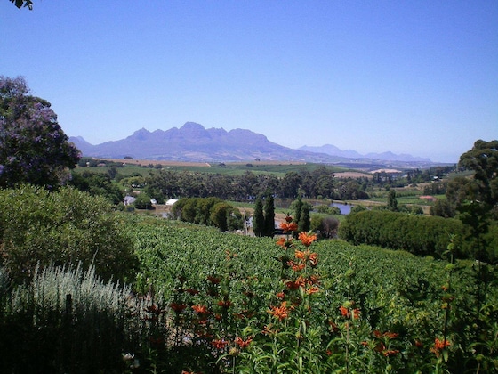 Gallery - The Devon Valley Hotel