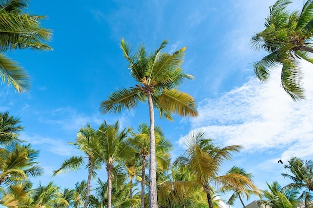 Gallery - Courtyard By Marriott Isla Verde Beach Resort