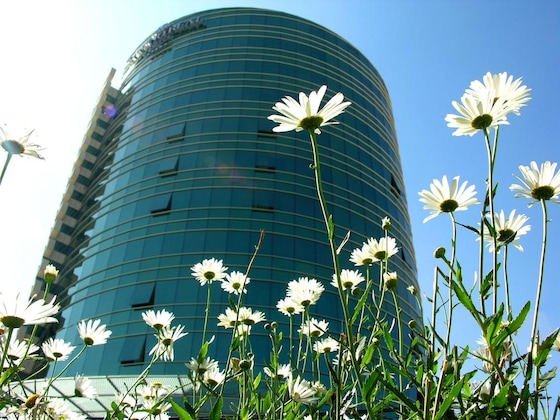 Gallery - Suites Camino Real
